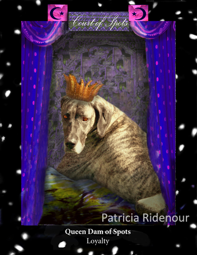 Patricia Ridenour_Te Doggy Tarot_Queen Dam of Spots